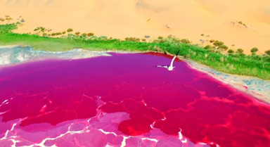 ͵ɳĮ144(g)